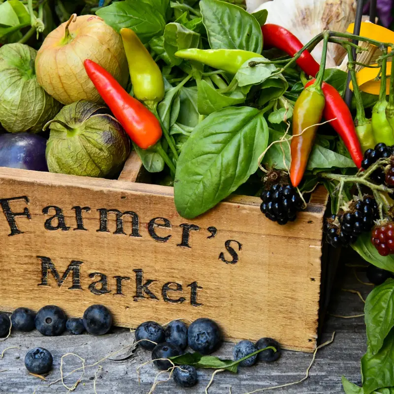 Featured in Community San Diego Farmer's Markets