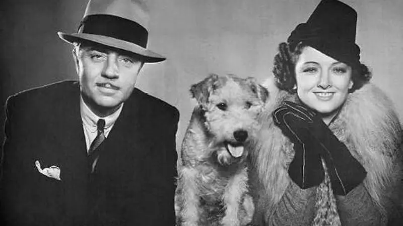 Main image for THE THIN MAN