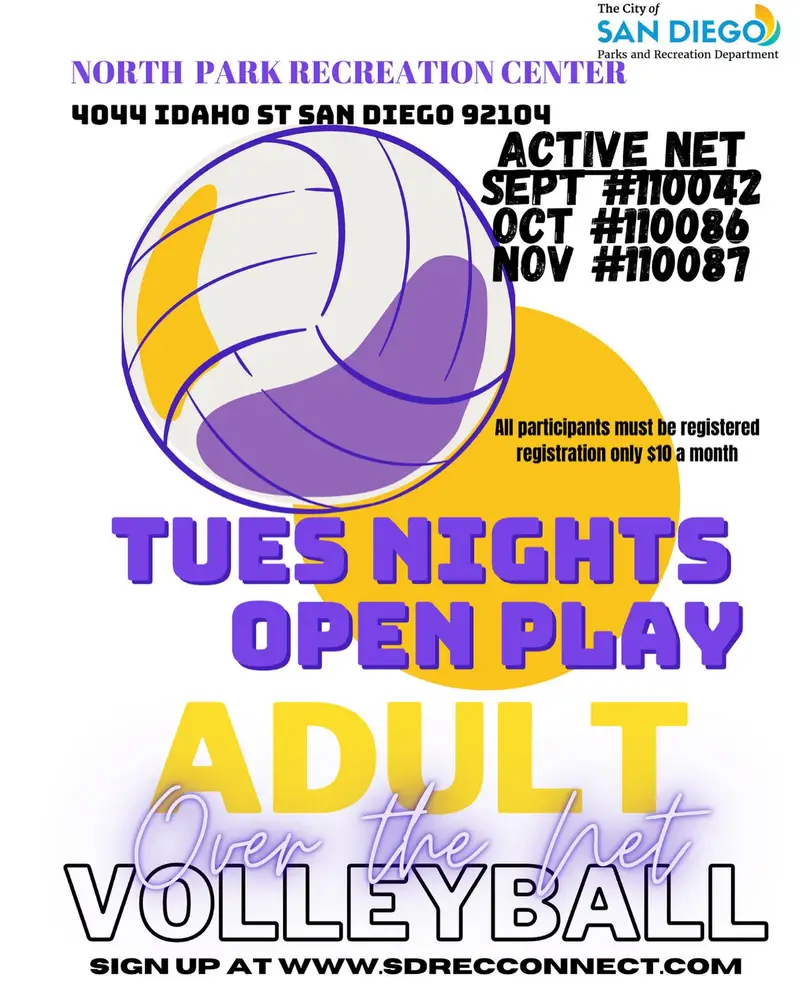 Main image for Adult Volleyball Over the Net
